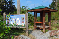 Grouse Mountain Powerline Trail